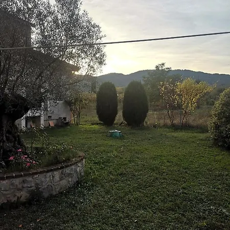Holiday home Vecchio Ulivo