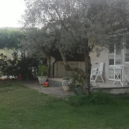 Vecchio Ulivo Holiday home
