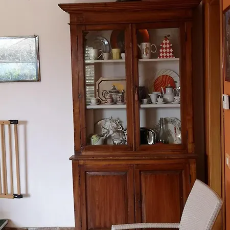 Vecchio Ulivo