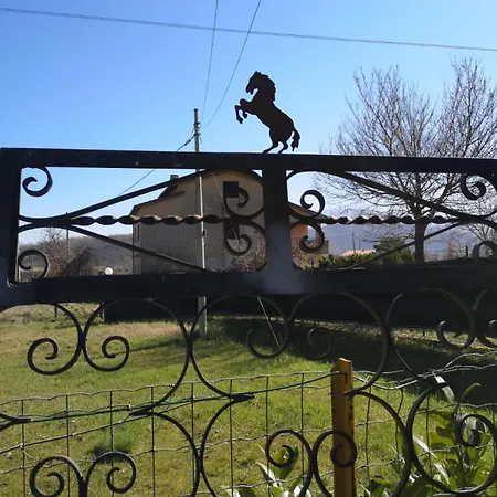 Holiday home Vecchio Ulivo Sarconi