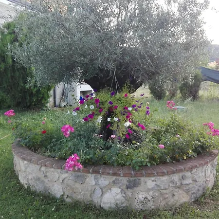 Holiday home Vecchio Ulivo *